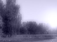 Horoskop anielski 