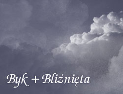 Byk i Bliźnięta