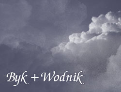 Byk i Wodnik