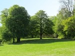 Park