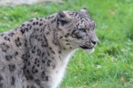 Zoo