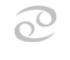 Rak